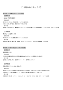 【11月のカリキュラム】